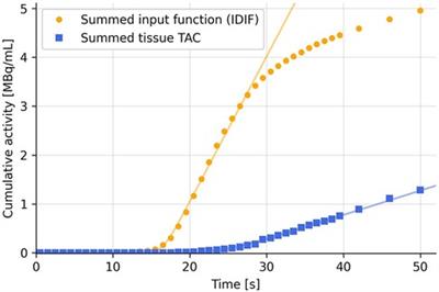 Single-voxel delay map from long-axial field-of-view PET scans